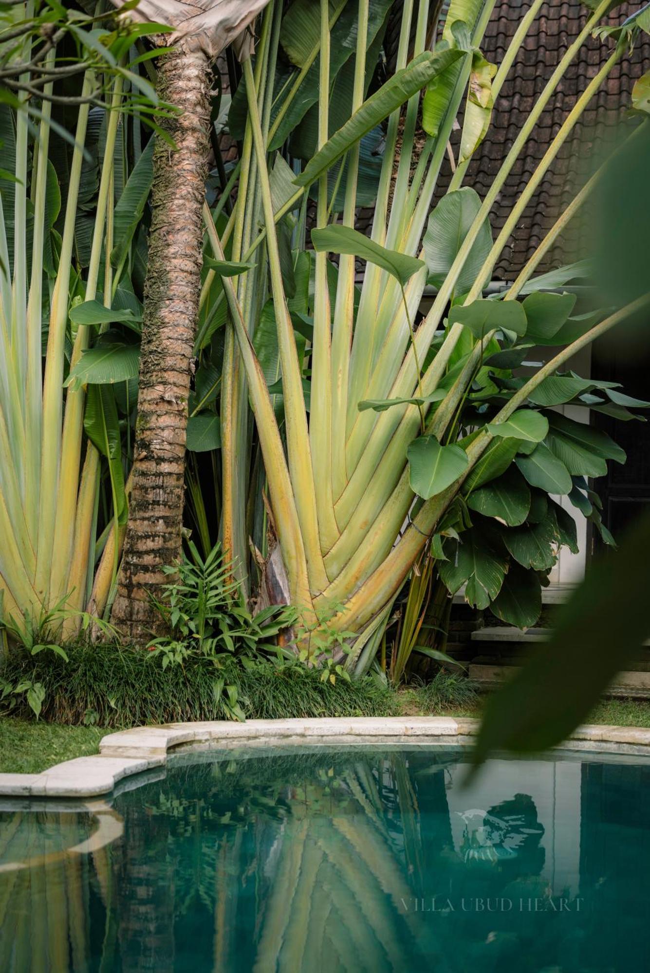 Villa Ubud Heart Экстерьер фото